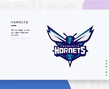 夏洛特黄蜂窗口期伤情更新，志在亚冠名次提升，话题不断，控场能力受关注(夏洛的网阅读单答案)