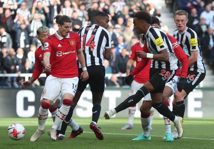 犹他大学qs世界排名